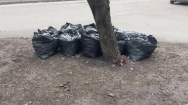 Şehir caddesinde siyah yaprakların içinde toplanmış. Yapraklarla dolu siyah plastik torbalar. Şehir sokaklarının yapraklarından mevsimlik temizliği.