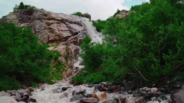曇りの日に大きな滝の美しい風景 夏に緑の植生を持つ山の水路 — ストック動画