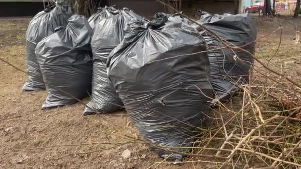 Dikumpulkan Dalam Kantong Hitam Daun Jatuh Jalan Kota Plastik Hitam — Stok Video