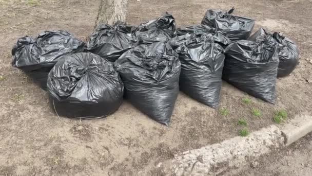 Recolhidos Sacos Pretos Folhas Caídas Uma Rua Cidade Sacos Plástico — Vídeo de Stock