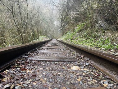 Dağlık arazideki demiryolunu kapatın. Yağmurlu havada, inanılmaz ve gizemli doğada tren yolu.