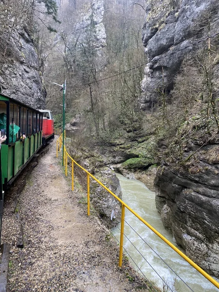 Primo Piano Del Treno Che Attraversa Terreni Montuosi Treno Turistico — Foto Stock