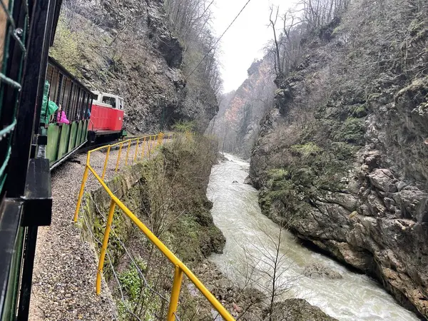 Primo Piano Del Treno Che Attraversa Terreni Montuosi Treno Turistico — Foto Stock