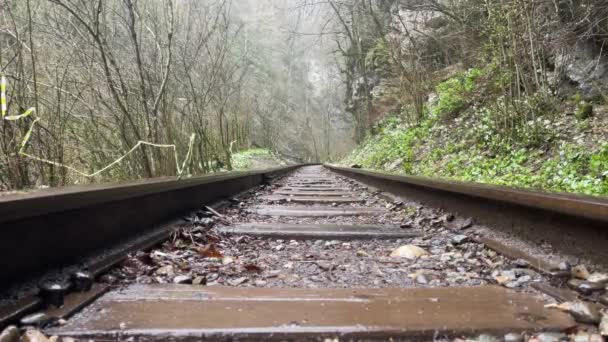 山岳地帯での鉄道の閉鎖 信じられないほど神秘的な自然の中で雨の天気の鉄道トラック — ストック動画