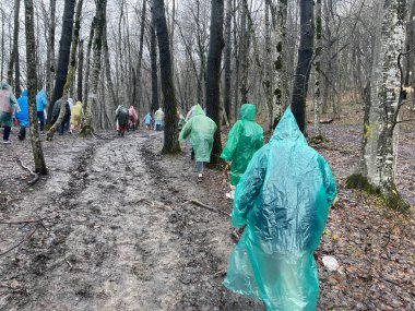 Yağmurluklu turistlerin bulutlu ve yağmurlu havada çamurlu ormanlarda yürüdüğü arka manzara. Ormanlık ve tepelik arazide yürüyüş yapan bir grup insan.