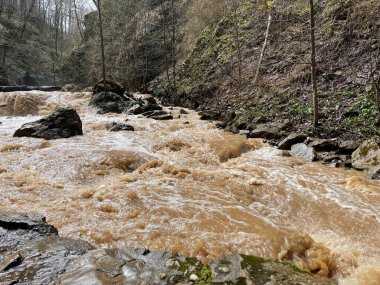 Dağ nehrinin muhteşem ve gizemli doğası. Dağlık arazide akan dağ suları.
