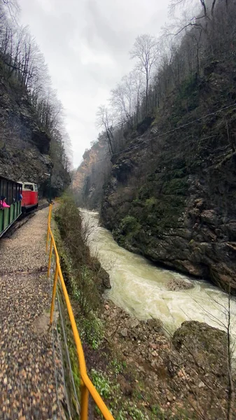 Primo Piano Del Treno Che Attraversa Terreni Montuosi Treno Turistico — Foto Stock