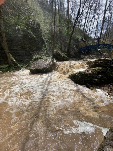 Красивый Пейзаж Горной Реки Удивительной Загадочной Природе Горный Водный Путь — стоковое фото