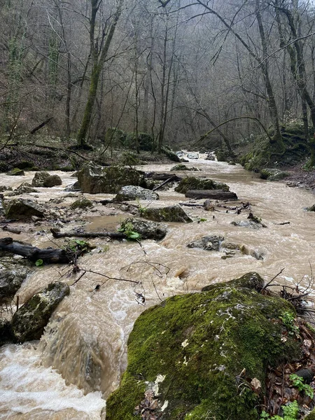 Prachtig Landschap Van Bergrivier Verbazingwekkende Mysterieuze Natuur Bergvaarweg Die Door — Stockfoto