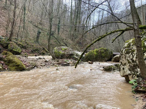 Prachtig Landschap Van Bergrivier Verbazingwekkende Mysterieuze Natuur Bergvaarweg Die Door — Stockfoto