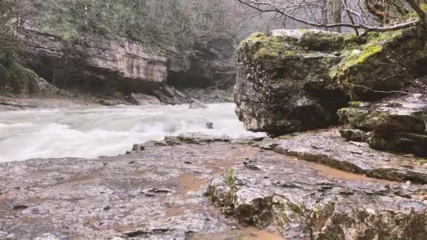 Beau paysage de rivière de montagne dans une nature étonnante et mystérieuse. Voie navigable de montagne traversant un terrain montagneux. — Video