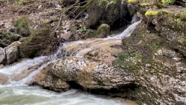 Bellissimo paesaggio di fiume di montagna in natura sorprendente e misteriosa. Via d'acqua di montagna che scorre attraverso terreni montuosi. — Video Stock