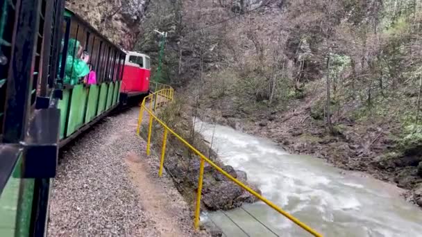 Sluiten Van Trein Gaat Door Bergachtig Terrein Toeristische Trein Rijden — Stockvideo