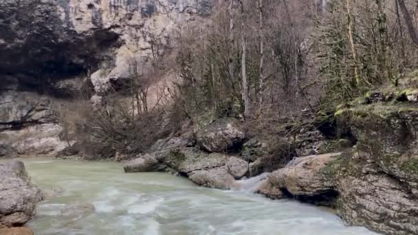 Красивый Пейзаж Горной Реки Удивительной Загадочной Природе Горный Водный Путь — стоковое видео