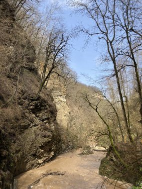 Dağ nehrinin muhteşem ve gizemli doğası. Dağlık arazide akan dağ suları.
