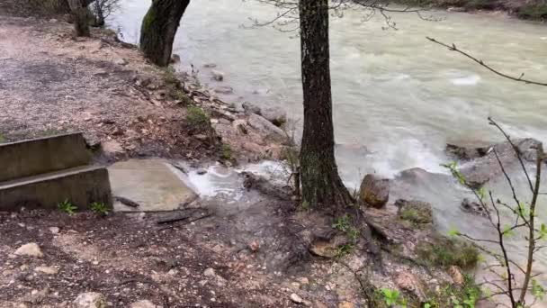 Fluxo Pequeno Que Flui Longo Lugar Designado Para Grande Rio — Vídeo de Stock