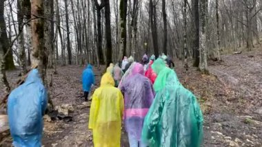 Yağmurluklu turistlerin bulutlu ve yağmurlu havada çamurlu ormanlarda yürüdüğü arka manzara. Ormanlık ve tepelik arazide yürüyüş yapan bir grup insan.