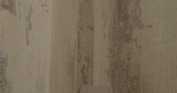 Close up of female in gloves with spatula flattens wall in room. Young woman sanding wall and preparing for painting in apartment. Concept of repair work. — Stock Video