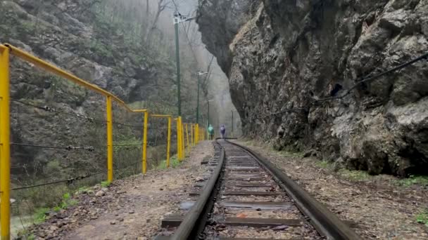 Vista Trasera Los Turistas Caminando Ferrocarril Terreno Montañoso Grupo Personas — Vídeos de Stock