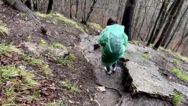 Vista Lateral Joven Mujer Pie Caminando Terreno Montañoso Turista Femenina — Vídeos de Stock