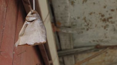 Açık havada asılı duran kurutulmuş balıklara yakın durun. Balık parçası kancada kurutuluyor..