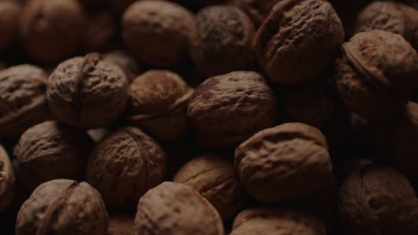 Primer Plano Del Cultivo Nueces Textura Pila Nueces Cáscara — Vídeo de stock