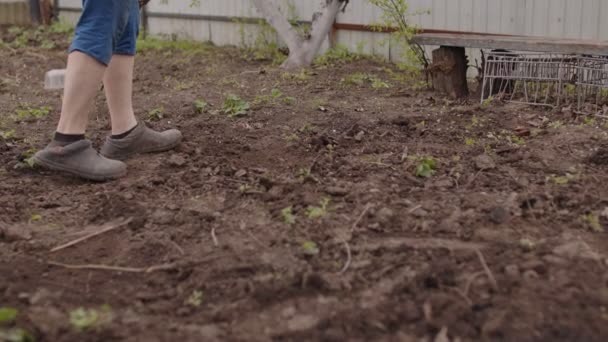 Close Unrecognizable Person Plowing Ground Hoe Kitchen Garden Unknown Woman — Stock Video