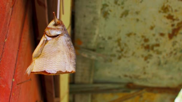 关闭挂在户外钩子上的干鱼 鱼片在鱼钩上晒干 — 图库视频影像