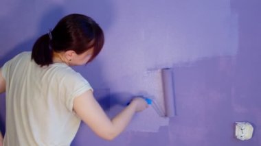 Close up of unrecognizable person painting wall in purple colour with roller. Unknown woman applying paint on wall. Concept of repair work and improvement of housing conditions