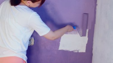 Close up of unrecognizable person painting wall in purple colour with roller. Unknown woman applying paint on wall. Concept of repair work and improvement of housing conditions