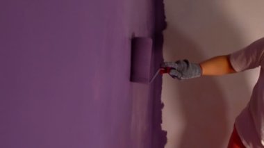 Close up of unrecognizable person painting wall in purple colour with roller. Unknown woman applying paint on wall. Concept of repair work and improvement of housing conditions