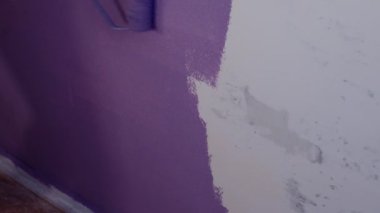 Kadının elini koruyucu eldivenle kapat. Duvarı mor renklerle boyarsın. Duvara boya sürerken tanınmayan biri. Tamir işleri ve konut koşullarının iyileştirilmesi.