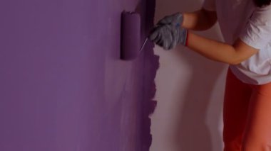 Close up of unrecognizable person painting wall in purple colour with roller. Unknown woman applying paint on wall. Concept of repair work and improvement of housing conditions