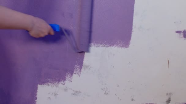 ローラーで紫色の保護手袋塗装壁に女性の手の閉じる 壁に塗料を塗布する認識できない人 補修工事の概念及び住宅条件の改善 — ストック動画