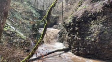 Dağ nehrinin muhteşem ve gizemli doğası. Dağlık arazide akan dağ suları..