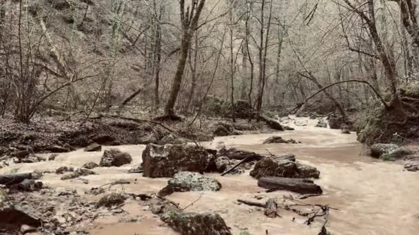 Красивий Пейзаж Гірської Річки Дивовижній Загадковій Природі Гірський Водяний Шлях — стокове відео