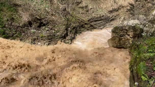 Bellissimo paesaggio di fiume di montagna in natura sorprendente e misteriosa. Via d'acqua di montagna che scorre attraverso terreni montuosi. — Video Stock