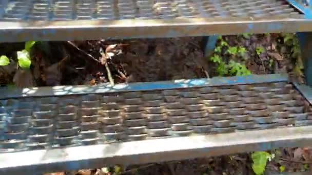 Zamknij metalowe schody w lesie. Metalowe schody do pokonania przeszkód w górzystym terenie. — Wideo stockowe