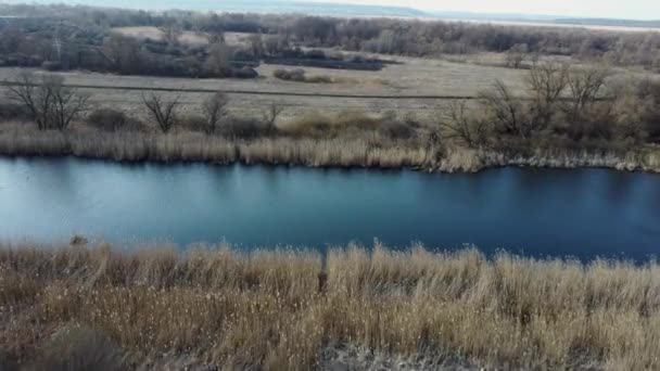 Rustige Rivier Het Platteland Van Boven Een Geweldige Rivier Met — Stockvideo