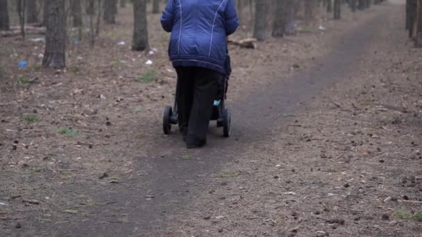 Grandmother Walking Her Grandson Granddaughter Forest Elderly Woman Stroller Walking — Stock Video