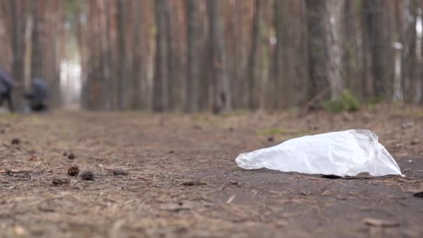 Cellophane Bag Ground Forest Concept Environmental Pollution — Stock Video