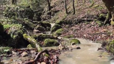 Dağ nehrinin muhteşem ve gizemli doğası. Dağlık arazide akan dağ suları.