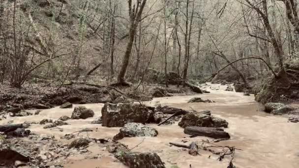 Красивый Пейзаж Горной Реки Удивительной Загадочной Природе Горный Водный Путь — стоковое видео