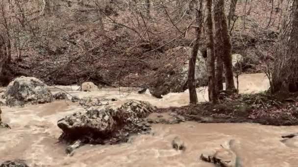 Красивый Пейзаж Горной Реки Удивительной Загадочной Природе Горный Водный Путь — стоковое видео