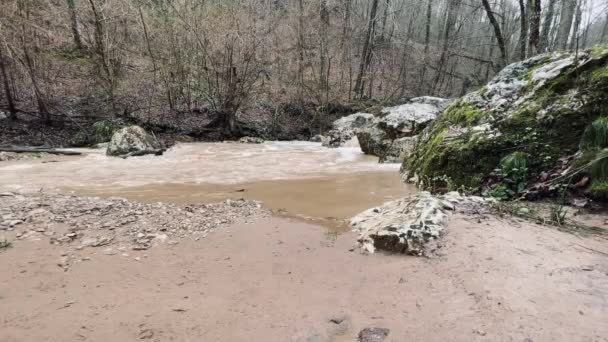 Dağ Nehrinin Muhteşem Gizemli Doğası Dağlık Arazide Akan Dağ Suları — Stok video