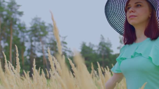 Young Woman Dress Hat Standing Wheat Field Pretty Lady Poses — Stock Video