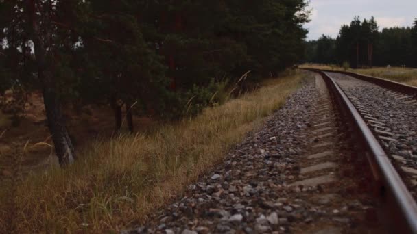 Primo piano della ferrovia in campagna. Ferrovia in zona boscosa nelle giornate nuvolose e ventose in estate. — Video Stock