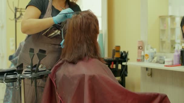 Personne Méconnaissable Teint Les Cheveux Jeune Femme Dans Salon Coiffeur — Video