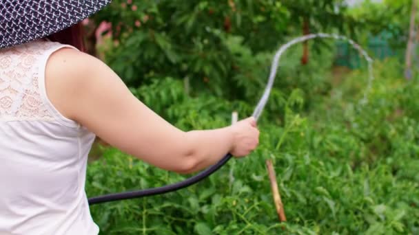 Hortumla Sebze Bahçesini Sulayan Kadının Ellerini Kapatın Yazın Bahçeye Kur — Stok video