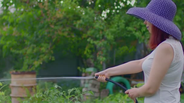 身穿白衣的年轻女性 戴着雅致的帽子 用软管浇灌菜园 漂亮的女人在花园里求爱 有机产品和生态友好型生活方式的概念 — 图库视频影像